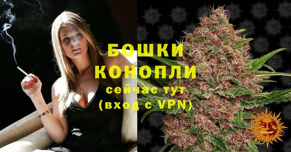 молекула духа Нефтегорск