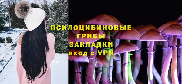 ALPHA PVP Надым