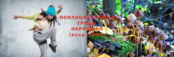 дурь Нефтекумск