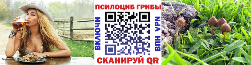 ОМГ ОМГ зеркало Белореченск Галлюциногенные грибы GOLDEN TEACHER